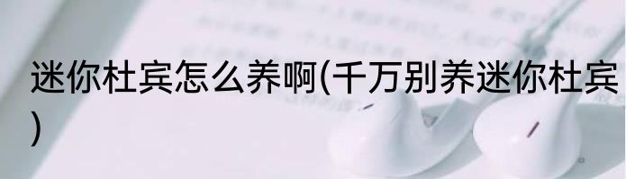 迷你杜宾怎么养啊(千万别养迷你杜宾)