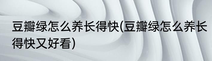 豆瓣绿怎么养长得快(豆瓣绿怎么养长得快又好看)
