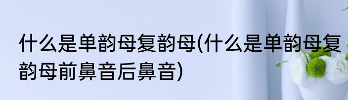 什么是单韵母复韵母(什么是单韵母复韵母前鼻音后鼻音)
