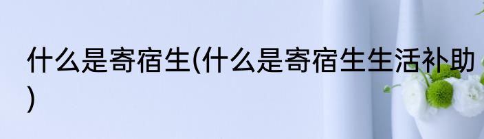 什么是寄宿生(什么是寄宿生生活补助)