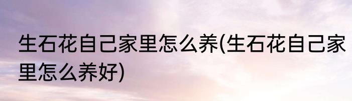 生石花自己家里怎么养(生石花自己家里怎么养好)