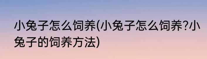 小兔子怎么饲养(小兔子怎么饲养?小兔子的饲养方法)