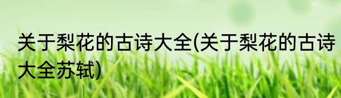 关于梨花的古诗大全(关于梨花的古诗大全苏轼)