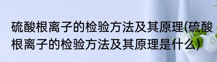 硫酸根离子的检验方法及其原理(硫酸根离子的检验方法及其原理是什么)
