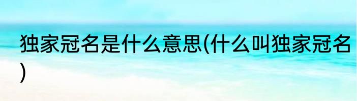 独家冠名是什么意思(什么叫独家冠名)