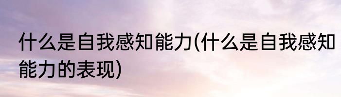 什么是自我感知能力(什么是自我感知能力的表现)