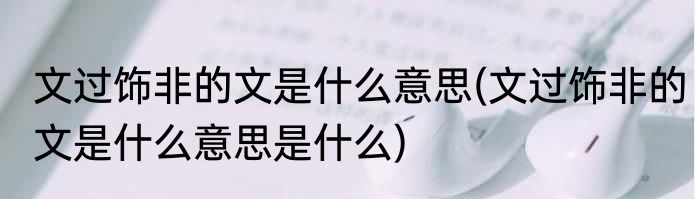 文过饰非的文是什么意思(文过饰非的文是什么意思是什么)