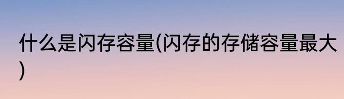 什么是闪存容量(闪存的存储容量最大)