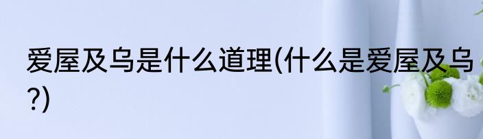 爱屋及乌是什么道理(什么是爱屋及乌?)