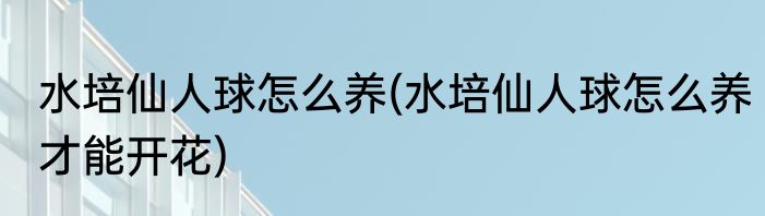水培仙人球怎么养(水培仙人球怎么养才能开花)