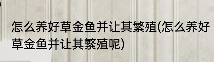 怎么养好草金鱼并让其繁殖(怎么养好草金鱼并让其繁殖呢)
