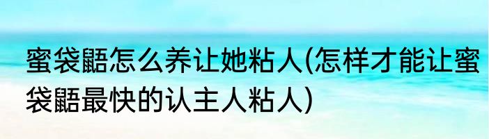 蜜袋鼯怎么养让她粘人(怎样才能让蜜袋鼯最快的认主人粘人)