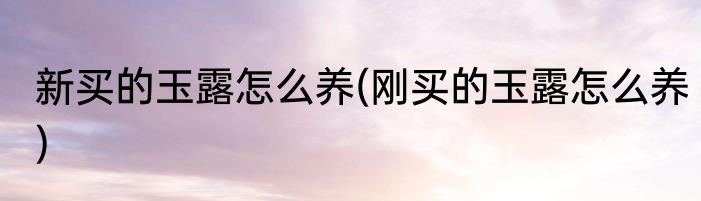 新买的玉露怎么养(刚买的玉露怎么养)