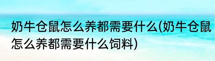 奶牛仓鼠怎么养都需要什么(奶牛仓鼠怎么养都需要什么饲料)
