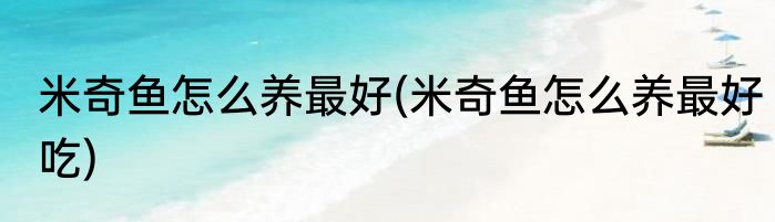 米奇鱼怎么养最好(米奇鱼怎么养最好吃)