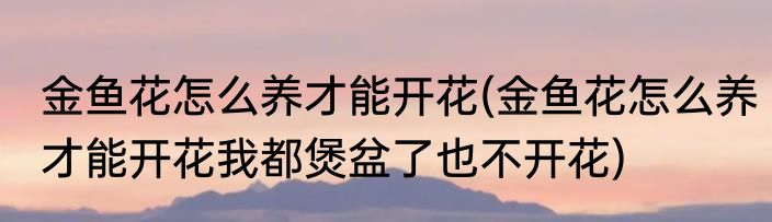 金鱼花怎么养才能开花(金鱼花怎么养才能开花我都煲盆了也不开花)