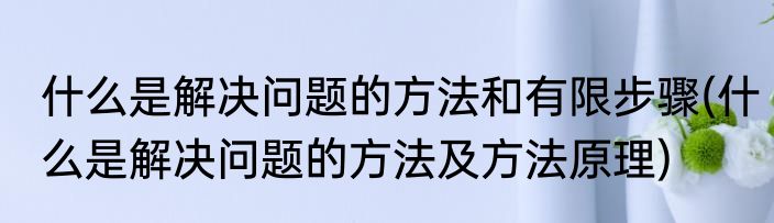 什么是解决问题的方法和有限步骤(什么是解决问题的方法及方法原理)