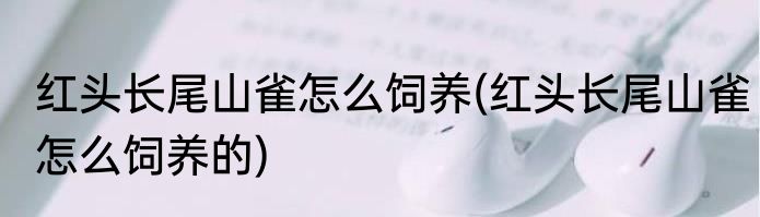 红头长尾山雀怎么饲养(红头长尾山雀怎么饲养的)