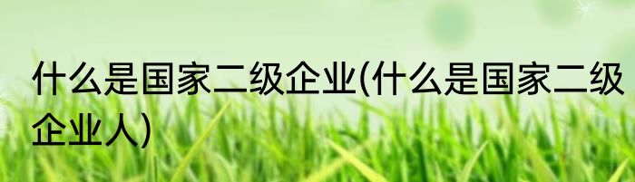 什么是国家二级企业(什么是国家二级企业人)