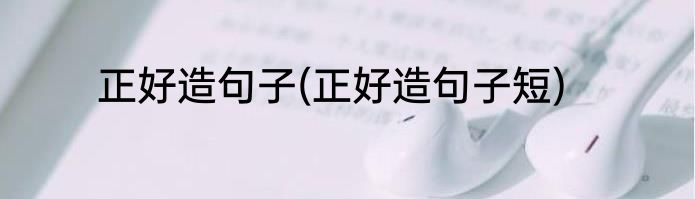 正好造句子(正好造句子短)