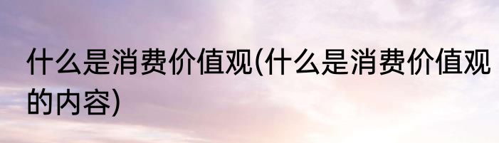什么是消费价值观(什么是消费价值观的内容)