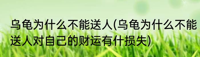乌龟为什么不能送人(乌龟为什么不能送人对自己的财运有什损失)