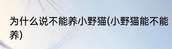 为什么说不能养小野猫(小野猫能不能养)