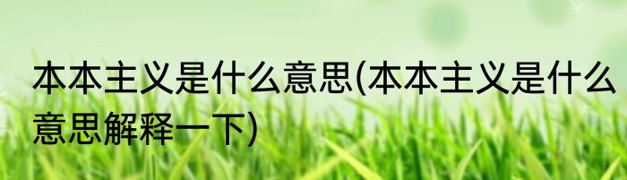 本本主义是什么意思(本本主义是什么意思解释一下)