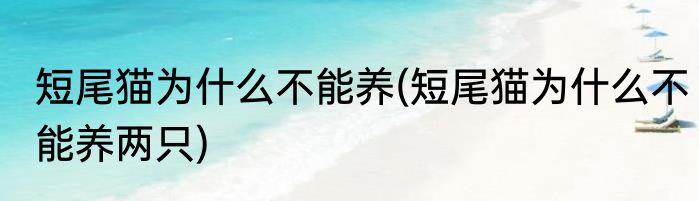 短尾猫为什么不能养(短尾猫为什么不能养两只)