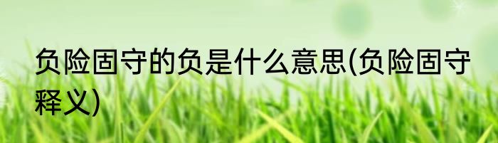 负险固守的负是什么意思(负险固守 释义)