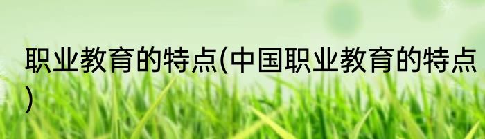 职业教育的特点(中国职业教育的特点)