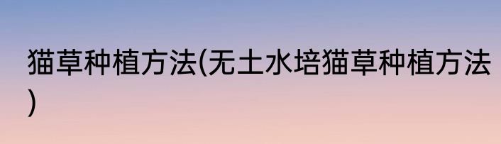 猫草种植方法(无土水培猫草种植方法)