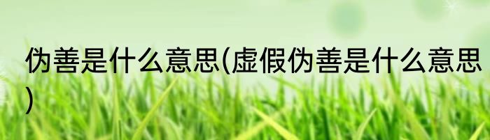 伪善是什么意思(虚假伪善是什么意思)