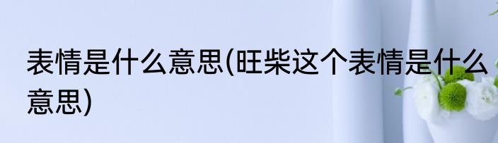 表情是什么意思(旺柴这个表情是什么意思)