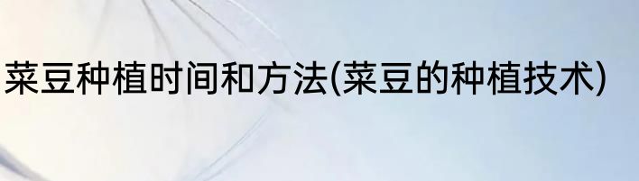 菜豆种植时间和方法(菜豆的种植技术)