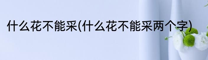 什么花不能采(什么花不能采两个字)