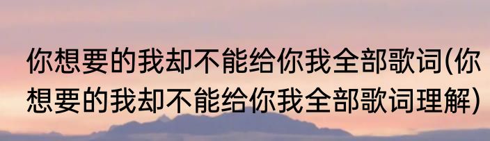 你想要的我却不能给你我全部歌词(你想要的我却不能给你我全部歌词理解)