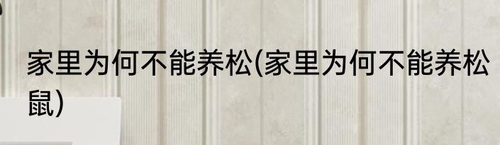 家里为何不能养松(家里为何不能养松鼠)