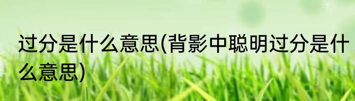 过分是什么意思(背影中聪明过分是什么意思)