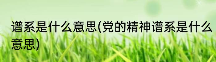 谱系是什么意思(党的精神谱系是什么意思)