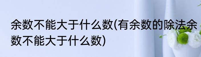 余数不能大于什么数(有余数的除法余数不能大于什么数)
