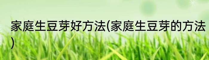 家庭生豆芽好方法(家庭生豆芽的方法)