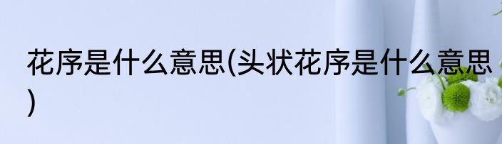 花序是什么意思(头状花序是什么意思)