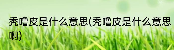 秃噜皮是什么意思(秃噜皮是什么意思啊)