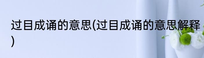 过目成诵的意思(过目成诵的意思解释)