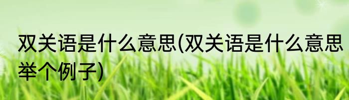 双关语是什么意思(双关语是什么意思举个例子)