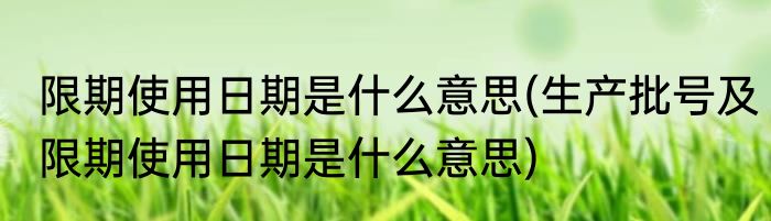 限期使用日期是什么意思(生产批号及限期使用日期是什么意思)