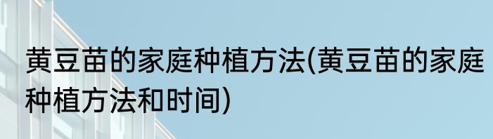 黄豆苗的家庭种植方法(黄豆苗的家庭种植方法和时间)
