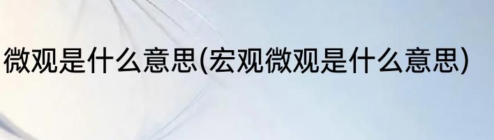 微观是什么意思(宏观微观是什么意思)