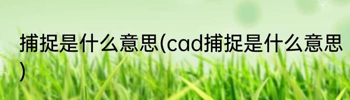 捕捉是什么意思(cad捕捉是什么意思)